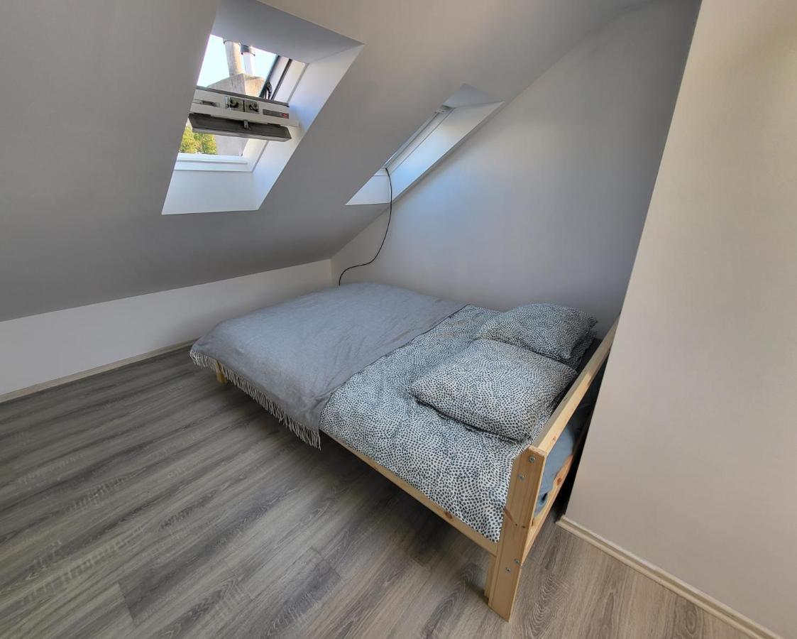 Excellent Apartments Central 3 Min Walk From The Colonnade カルロヴィ・ヴァリ エクステリア 写真