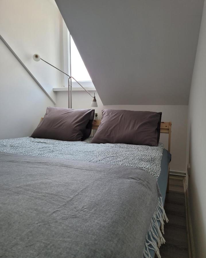 Excellent Apartments Central 3 Min Walk From The Colonnade カルロヴィ・ヴァリ エクステリア 写真