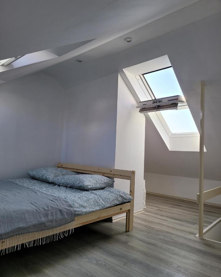 Excellent Apartments Central 3 Min Walk From The Colonnade カルロヴィ・ヴァリ エクステリア 写真